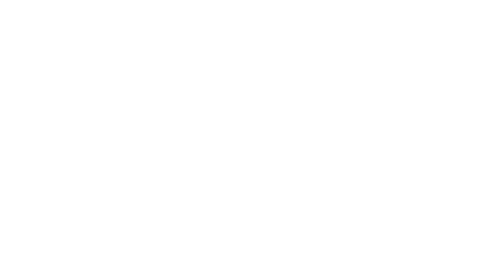 All About Pets